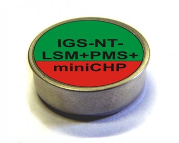 IGS-NT-LSM+PMS+miniCHP 